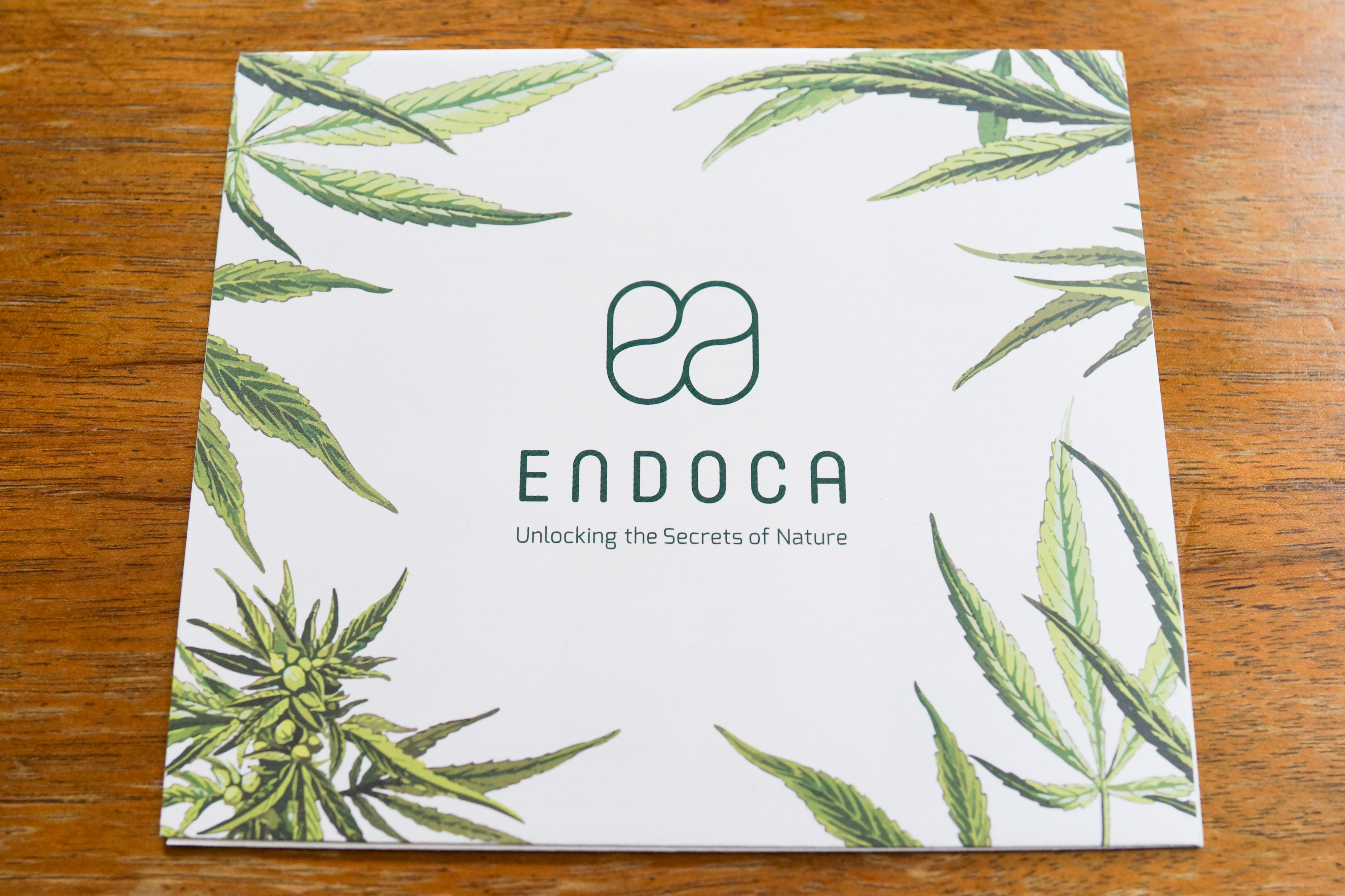 ENDOCA 製品リーフレット